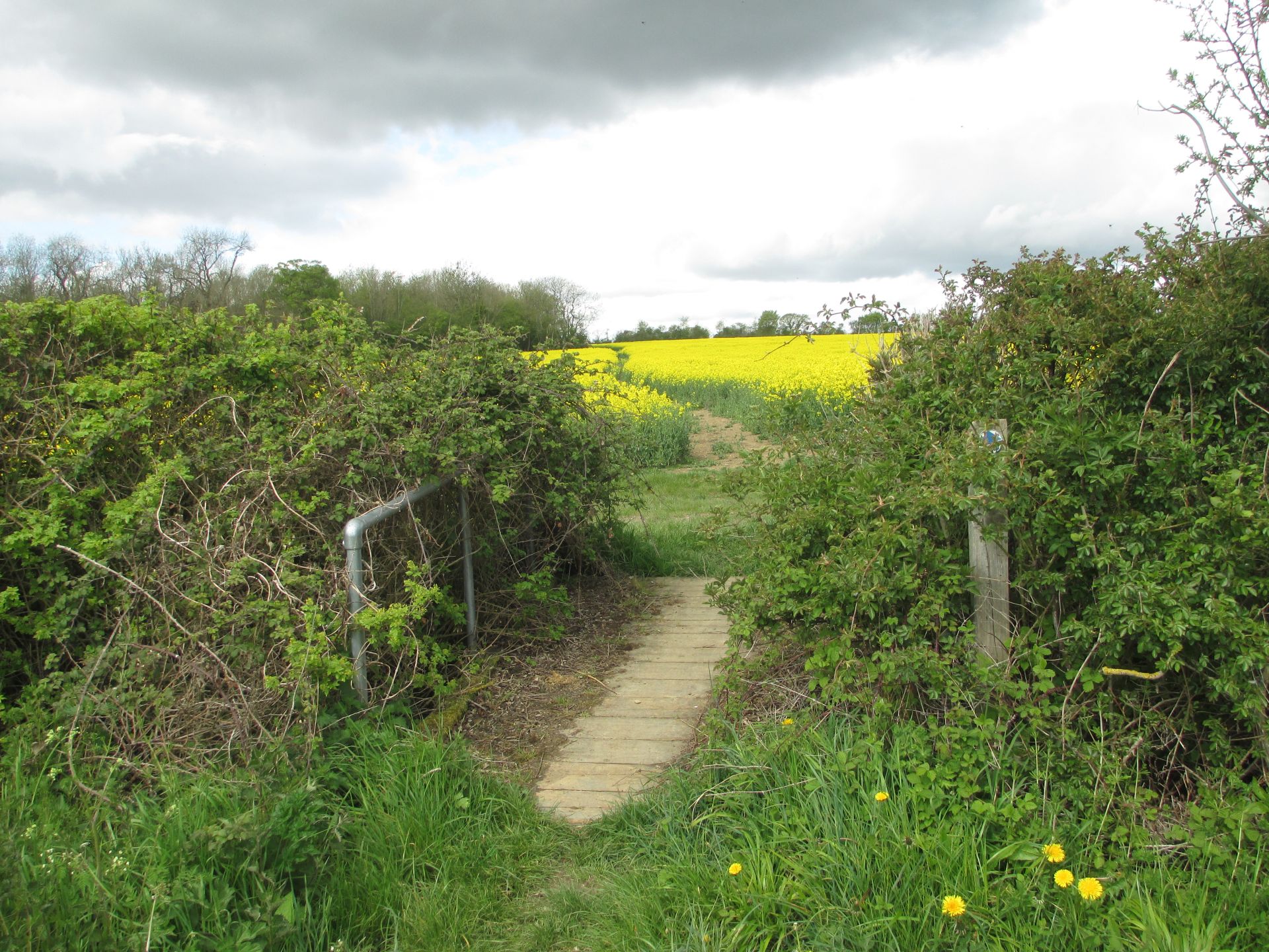 Hertfordshire Essex Border